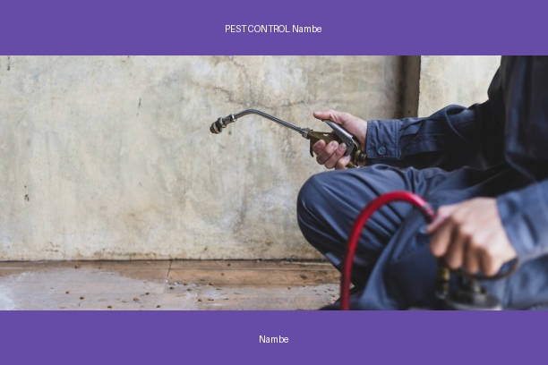 PEST CONTROL Nambe